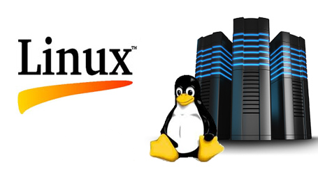 How to Save Cost by Using Linux Hosting for Company Website